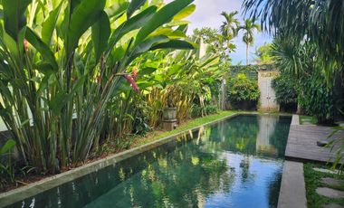 Dijual Rumah ditengah Kota Renon View Sawah