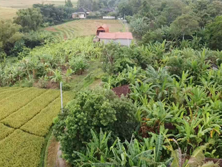 Leasehold - Exclusive Land in Yeh Gangga, Tabanan, Bali - Close to the Beach