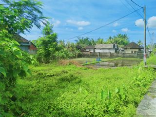 Scenic 2 Are Leasehold Land in Ubud with Rice Field View