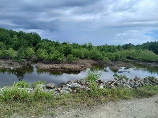 Jual Tanah 10 Hektar di Kab.Sorong Klalin 1 Sangat  ntuk pelabuhan