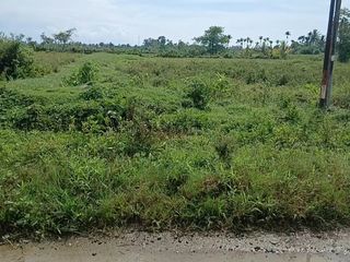 Jual Tanah di Kab Sorong Aimas Unit 1 Jln.Minyak