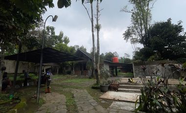 Villa + Kebun Durian dan Manggis Pinggir Jalan Raya Wanayasa Purwakart