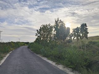 Dijual murah tanah strategis area Sumba Barat Daya -NTT