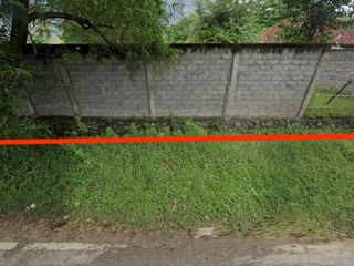 33,1 Are Land for Sale at Pemuteran, Gerokgak, Buleleng