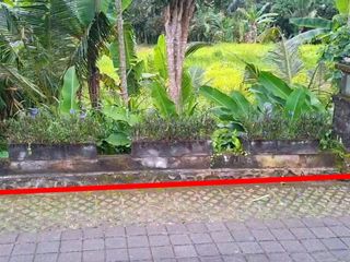 Land for sale in Tourist Area at Kedewatan Ubud Gianyar, close to Campuhan Ridge Walk and Monkey Forest, Ubud