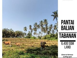 TANAH DI TABANAN PANTAI BALIAN