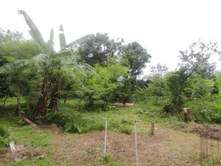 Tanah Kavling 1500m² di Pamulang 2, Pamulang