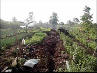 Jual Murah Tanah perkebunan di Landasan Ulin Luas 4.080m2 ,dkt Bandara