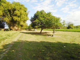 R-2024000077: Acquired Property Vacant Lot for Sale in Lot 855-B, Brgy. Balbaloto / Nilasin, Victoria, Tarlac (Interior)