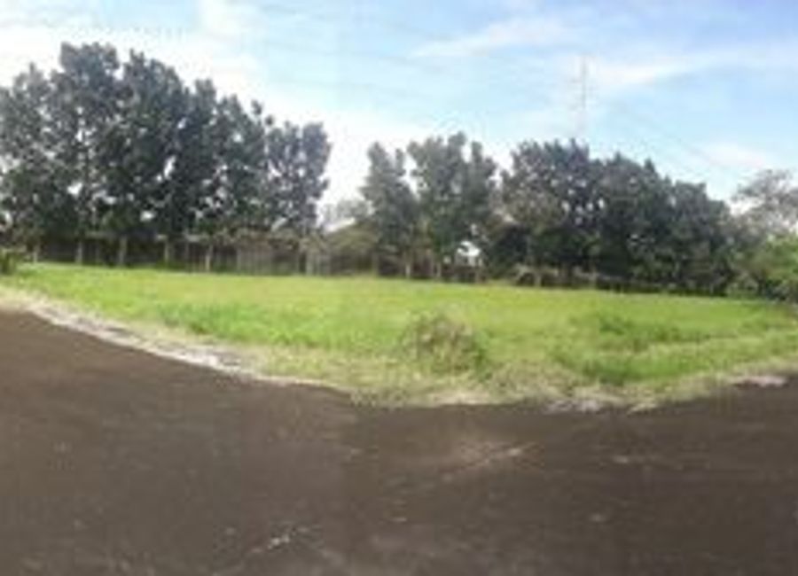Don Jose, Santa Rosa, Laguna image 3