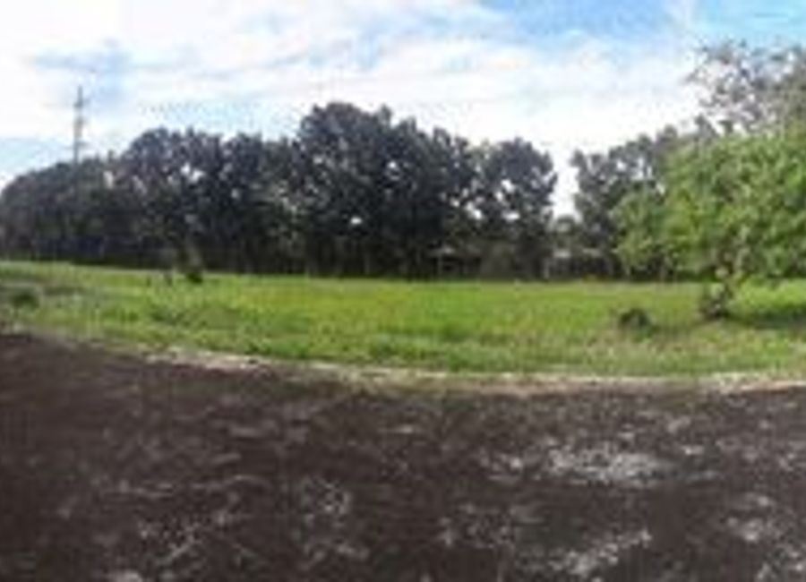 Don Jose, Santa Rosa, Laguna