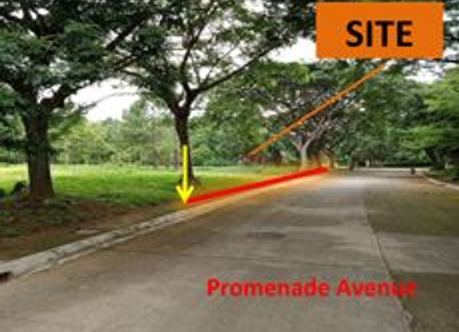 Cambridge Avenue, Promenade, Santo Domingo, Santa Rosa, Laguna