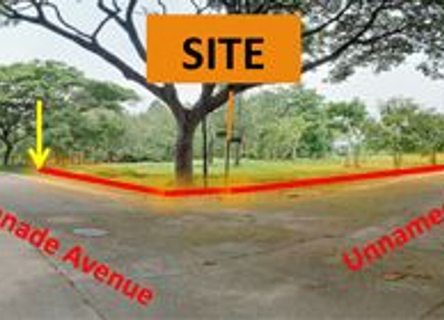 Cambridge Avenue, Promenade, Santo Domingo, Santa Rosa, Laguna image 3