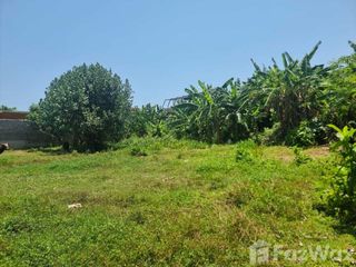 Land for sale in Canggu, Bali