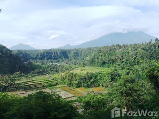Land for sale in Rendang, Bali