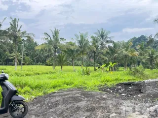 Land for sale in Susut, Bali