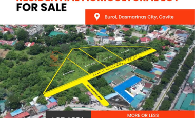 PVT2025-0027: 1.8 Hectare Residential & Agricultural Lot for Sale in Burol, Dasmariñas Cavite