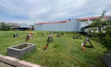 PVT2025-0051: Residential & Agricultural Lots for Sale in Las Piñas: 4,480 sqm: ₱127.6M