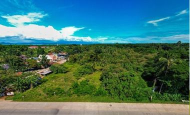 PVT2026-0001: Agricultural & Residential Lot for Sale in Tagburos Palawan: 36,105 sqm