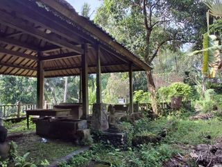 Tanah Komersil 84,43 Are Dijual, di Area Singapadu Tengah Ubud