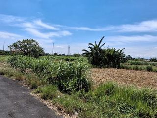 Tanah Pertanian 19,7 Are View Sawah Dijual, di Area Padang Galak Sanur