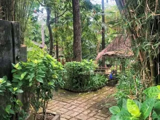 Land for sale in Pererenan, Bali