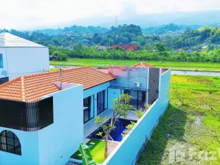 3 Bedroom Villa for sale in Lovina, Bali