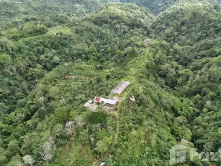 Land for sale in Kintamani, Bali