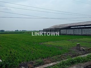 Dijual Tanah Bebas Banjir di Kawasan Kesamben Jombang