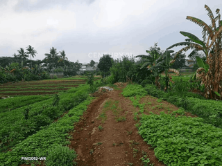 Dijual Tanah Komersil Di Bintaro Sektor 9