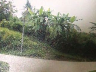 Tanah Jl Kedung Menjangan, Cirebon