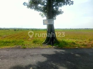 Tanah di Pelutan Zona Industri Cocok Untuk Gudan & Pabrik