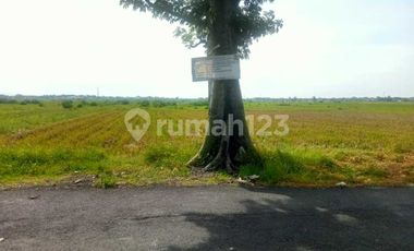 Tanah di Pelutan Zona Industri Cocok Untuk Gudan & Pabrik