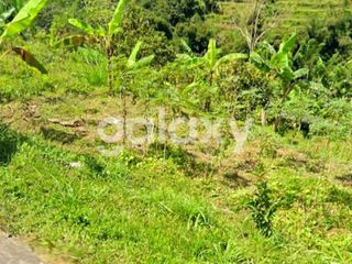TANAH ASRI DAN SEJUK DI JUWUK LEGI ANTAPAN BATURITI TABANAN, BALI
