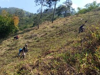 Jual Cepat Tanah Murah 1000 Hektar Di Garut