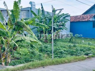 Tanah di Daerah Pantura Tegal Petarukan Dekat Kawan Industri
