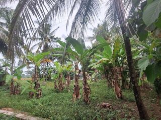 Dijual Tanah Kavling Kotak Tanah Datar Di Kulonprogo