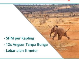 Dekat Kota Pemalang, Tanah Murah, Harga 1 Jt-an/m2