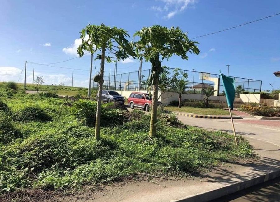 place photo 8