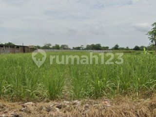 Tanah Luas Murah Strategis di Gondoharum Kudus A5498