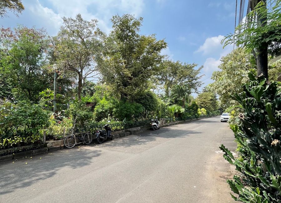 place photo 5
