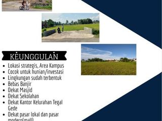 Tanah Murah di Jember, Dekat Kampus, Dekat Pusat Kota