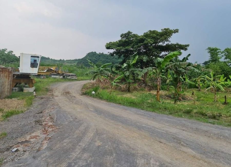 Development Land for Sale in Calamba Laguna | Lamudi.com.ph