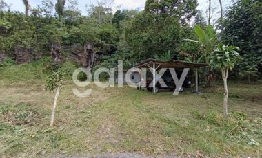 TANAH KEBUN DI RAYA BATURITI TABANAN, BALI