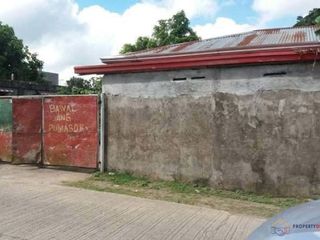Rush Sale! Farm Lot for Sale with Small House and Fruit Bearing Trees in Mataas na kahoy, Batangas