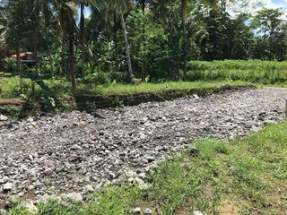 Jual Tanah Di Borobudur Magelang Menguntungkan Di Kawasan Pariwisata Nasional
