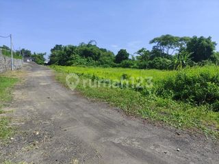 Dijual Cepat Tanah Pinggir Jalan Utama Investasi Komersial di Gianyar