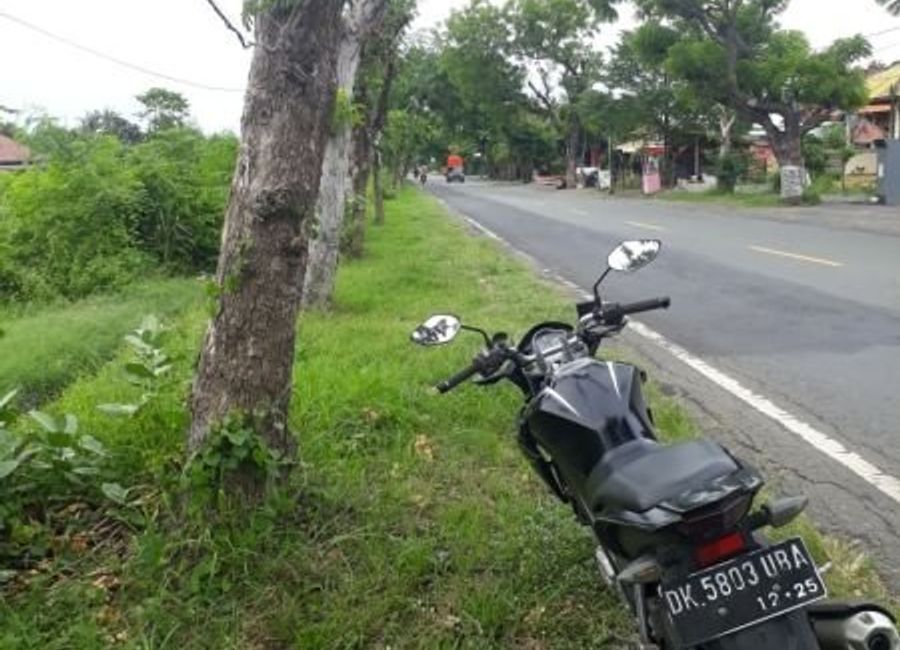 place photo 2