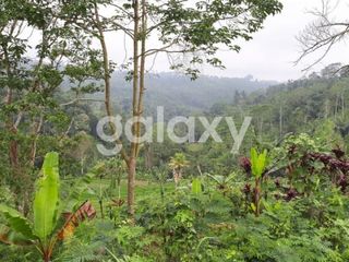 TANAH VIEW ALAM DAN AREA WISATA. BANJAR PAUSAN DESA BUAHAN KAJA PAYANGAN GIANYAR, BALI