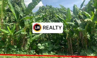 Land In Quiet Area Subamia Tabanan, Close To Tabanan City, Suitable For Housing Area